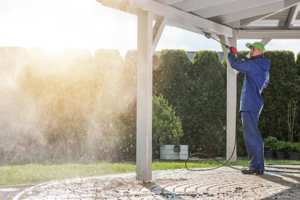 Best Roof Washing  in Cattaraugus, NY